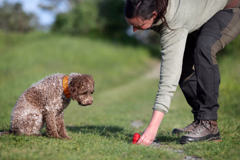 „Nasenarbeit Hund“, „Auslastung Hund sinnvoll“, Hund bei Nasenarbeit Training, Scent Detection Übung