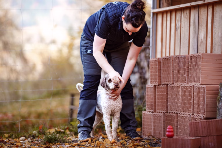 „Nasenarbeit Hund“, „Auslastung Hund sinnvoll“, Hund bei Nasenarbeit Training, Scent Detection Übung