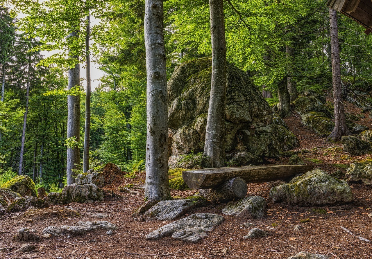 Scent Detection - Wanderung